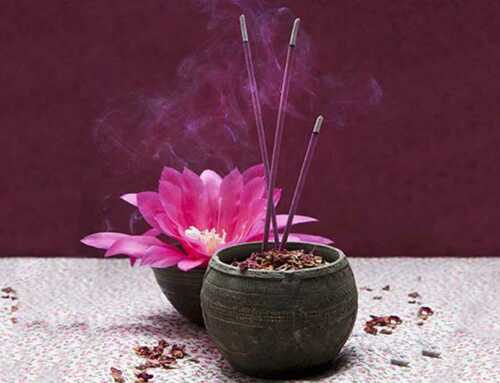 દિવ્યવાણી : વિવેકચૂડામણિ : શ્રી આદિશંકરાચાર્ય