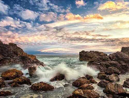 પ્રાસંગિક : સદ્ગુરુનાં લક્ષણો : સ્વામી અશોકાનંદ