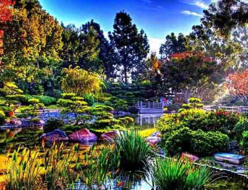 પ્રાસંગિક : ભારતની માટી મારું સ્વર્ગ છે (સ્વાતંત્ર્યદિન વિશેષ): સ્વામી મેધજાનંદ