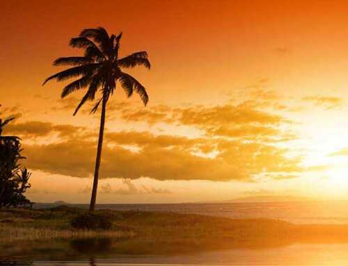 આરોગ્ય : જવ :	શ્રી માધવ ચૌધરી