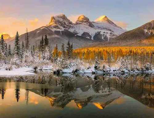 અમૃતવાણી : માયા અહંકાર તરીકે : શ્રીરામકૃષ્ણદેવ