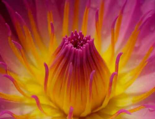 યુવજગત : તુલસી સાથી વિપત્તિ કે…. : સ્વામી મુક્તિમયાનંદ