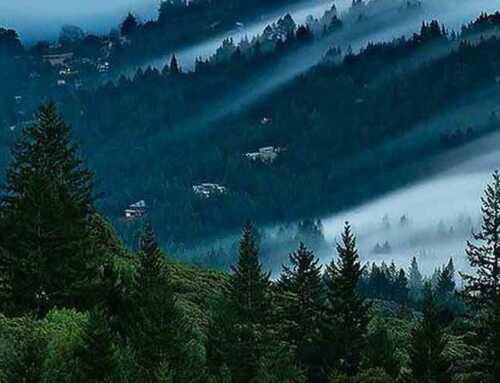 સંકલન : સ્વામીજીના રાજયોગ પરનાં વ્યાખ્યાનોનો સંક્ષિપ્ત સાર : શ્રી પ્રકાશભાઈ જોષી