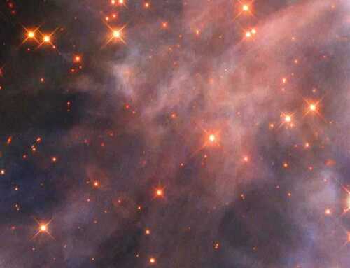 સંસ્મરણ : સ્વામી ભૂતેશાનંદજી મહારાજનાં સંસ્મરણો : સ્વામી ચેતનાનંદ