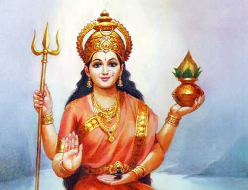 નર્મદા પરિક્રમા : નર્મદામહિમા અને પરિક્રમાના અનુભવો : એક સંન્યાસી