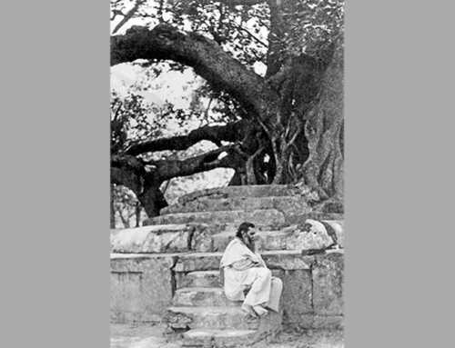 જીવન ચરિત્ર : સ્વામી વિરજાનંદ : સ્વામી અબ્જજાનંદ