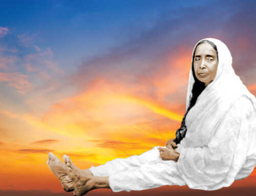 માતૃપ્રસંગ : મા સાચે જ મા : સ્વામી સારદેશાનંદ