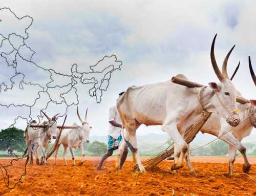 સંપાદકીય : સ્વાધીન ભારત, જય હો! : સ્વામી નિખિલેશ્વરાનંદ