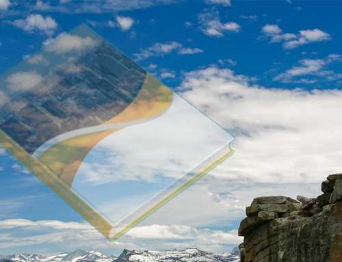 પુસ્તક-સમીક્ષા : Vivekananda: East meets West : સ્વામી ચેતનાનંદ