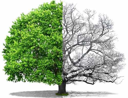 યુવ-વિભાગ : સ્મરણ તિજોરીની ચાવી : લાલજી મૂળજી ગોહિલ