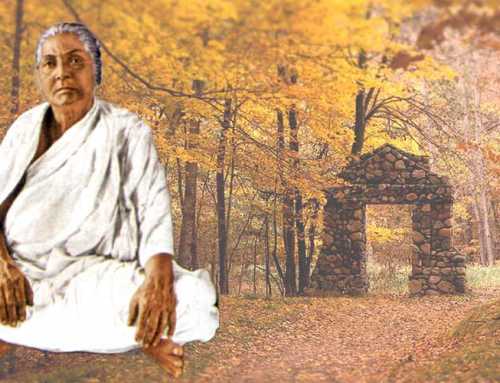 ચરિત્ર-કથા : ‘તમે ભાગ્યશાળી છો’ : જ્યોતિબહેન થાનકી