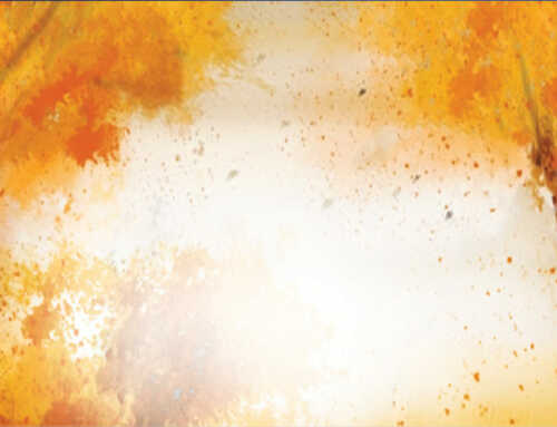 નર્મદા પરિક્રમા : નર્મદામહિમા અને પરિક્રમાના અનુભવો : એક સંન્યાસી