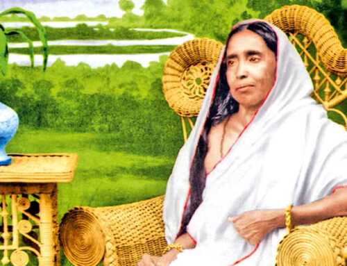 માતૃપ્રસંગ : મૂડી રોકાણ અને ધનનો સદ્‌વ્યય : સ્વામી સારદેશાનંદ