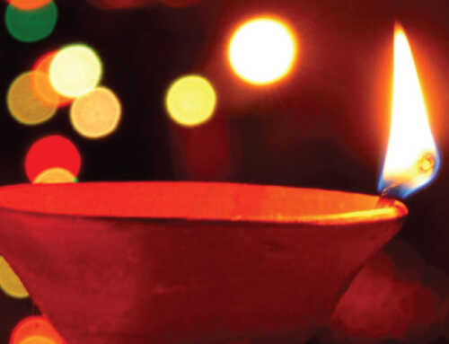 જ્ઞાનયોગ : આધ્યાત્મિક ચેતનાની  જાગૃતિ : સ્વામી કૃષ્ણસખાનંદ