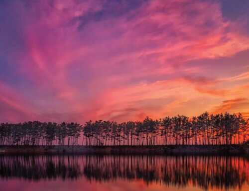 રામકૃષ્ણપ્રસંગ : ભગવાં વસ્ત્ર, પવિત્ર અગ્નિ, ભિક્ષાપ્રાપ્ત ભોજન : સ્વામી સારદાનંદ